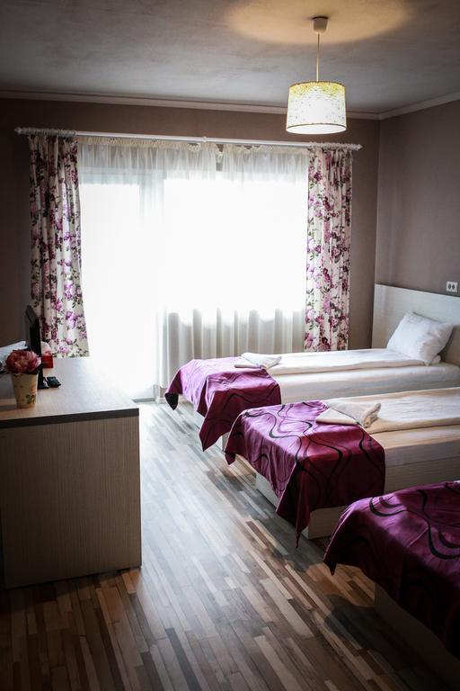 Pensiunea Oxana Lipova Kamer foto