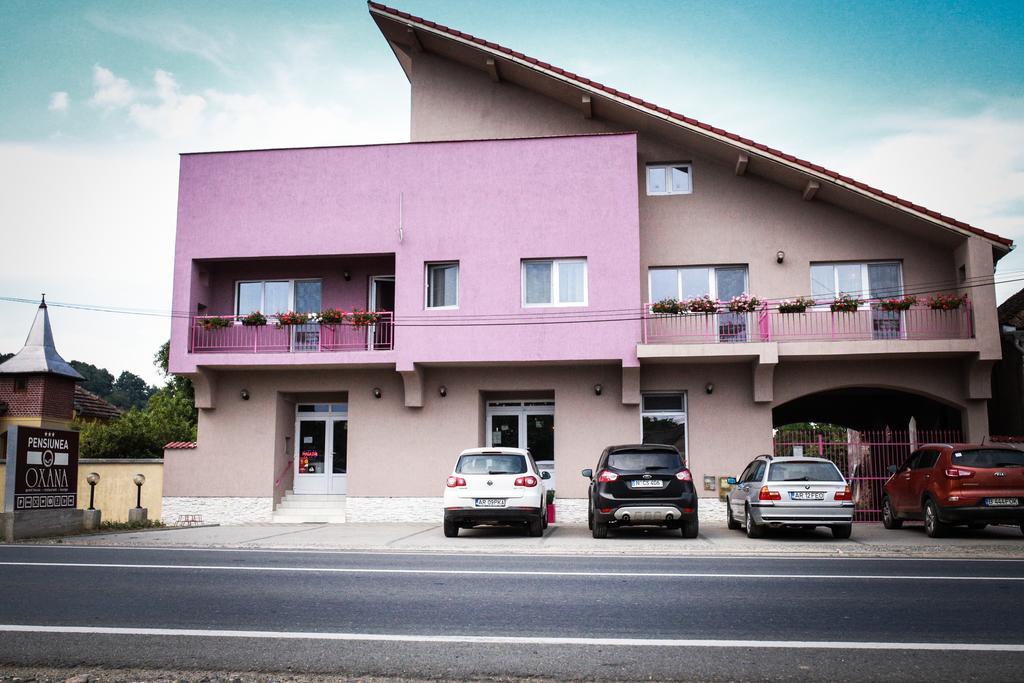 Pensiunea Oxana Lipova Buitenkant foto
